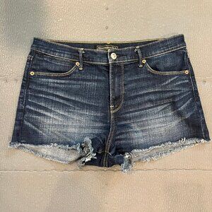 Abercrombie & Fitch Denim Cutoff Shorts - Size 29W & 2L